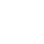 Animation