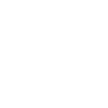 Animation