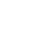 Animation