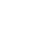 Animation