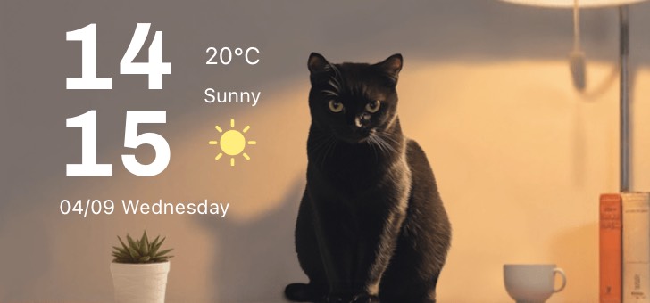 Cozy Cat