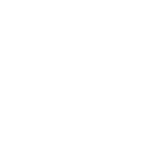 Animation