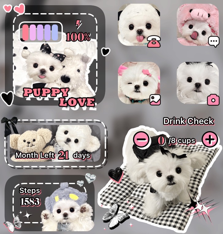 Sweet-Cool Dog