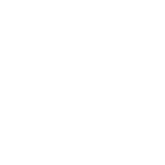 Animation