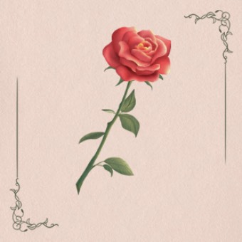 Petals tell me