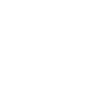 Animation