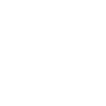 歩数