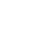 Animation