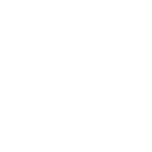 Animation