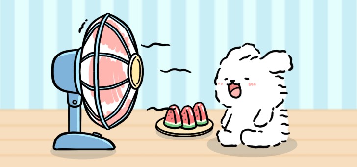 Widget 风扇