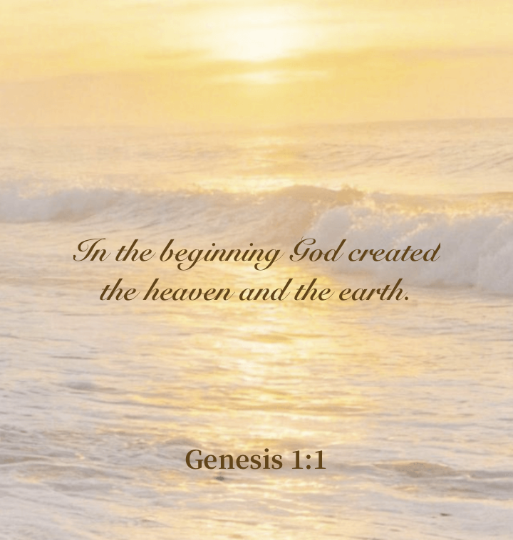 Widget Bible