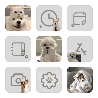 ins dog