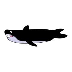 Dynamic Island Animation