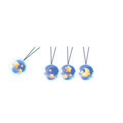 Dynamic Island Animation