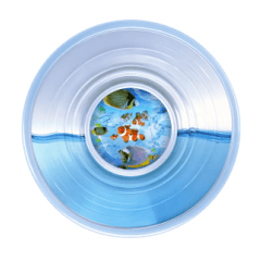 Dynamic Island Animation