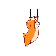 Dynamic Island Animation